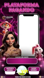 Premium Interface 14vin