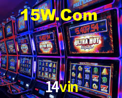 Premium Interface 14vin